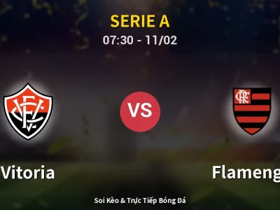Kết Quả: Vitoria 1-2 Flamengo – Highlight & Bàn Thắng | Serie A