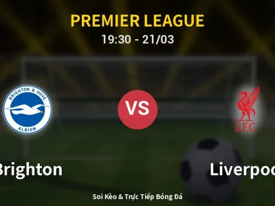 🔴 Trực Tiếp: Brighton 2-1 Liverpool – Link Xem Premier League (Full HD)