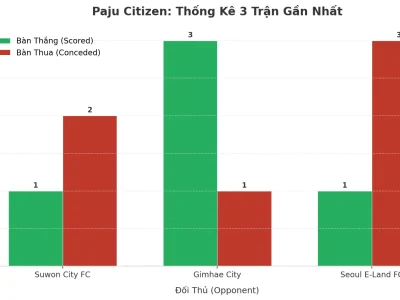 Paju Citizen: Cơn Địa Chấn Tài 2.5 – 3 Trận, 9 Bàn Thắng, Lý Do Nằm Ở Đâu?