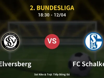 🔴 Trực Tiếp: SV Elversberg 1-1 FC Schalke 04 – Link Xem 2. Bundesliga (Full HD)