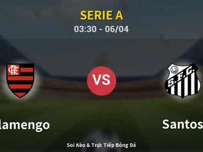 Kết Quả: Flamengo 3-1 Santos – Highlight & Bàn Thắng | Serie A